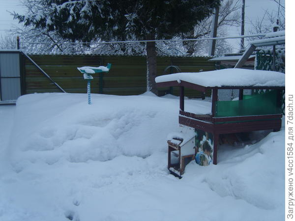 Прошлую зиму у нас, Саратовская обл.