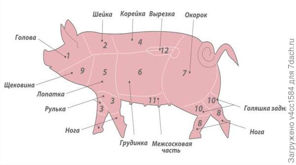 Как правильно приготовить шашлык из свинины, чтобы был мягкий? ответы экспертов () Как правильно приготовить шашлык из свинины, чтобы был мягкий? ответы экспертов