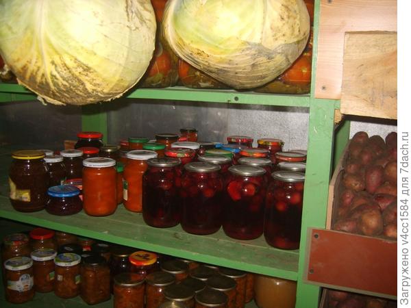 комната-погреб