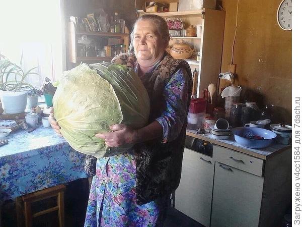 И что мне с ней делать,,,,?