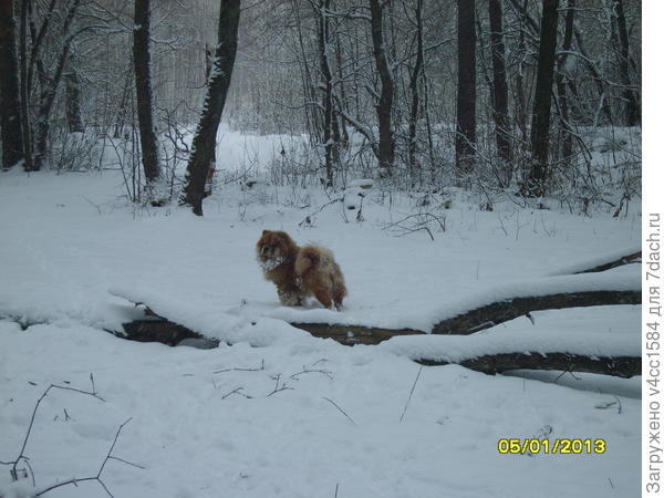 Заблудилась..