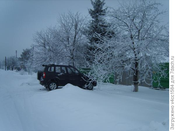 Времена года. Зима.