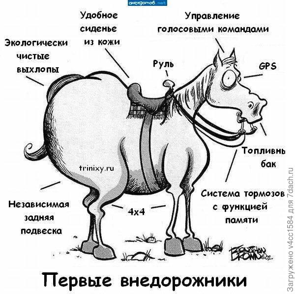 Инструкция к лошади