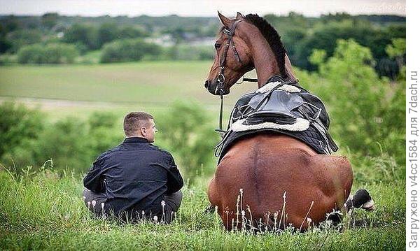Да гори оно все, синим пламенем...
