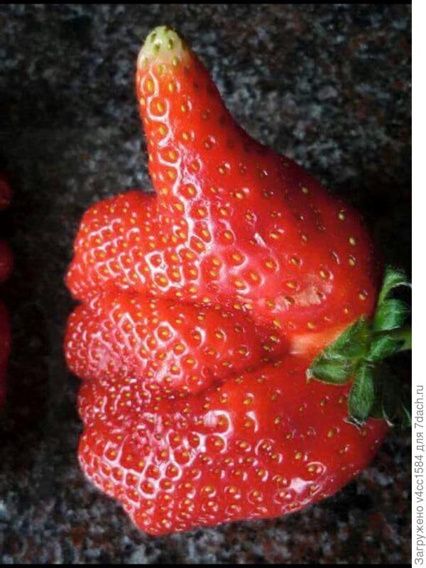 С наступающим Вас!