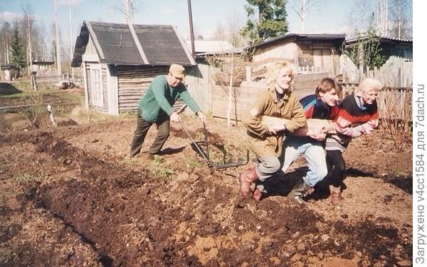 МЧИТСЯ ТРОЙКА в огороде...