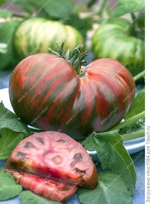 Вас привлекает его вид?