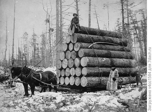 Времена года. Зима.