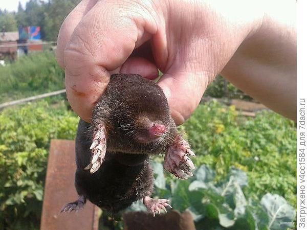 за что вы со мной так?