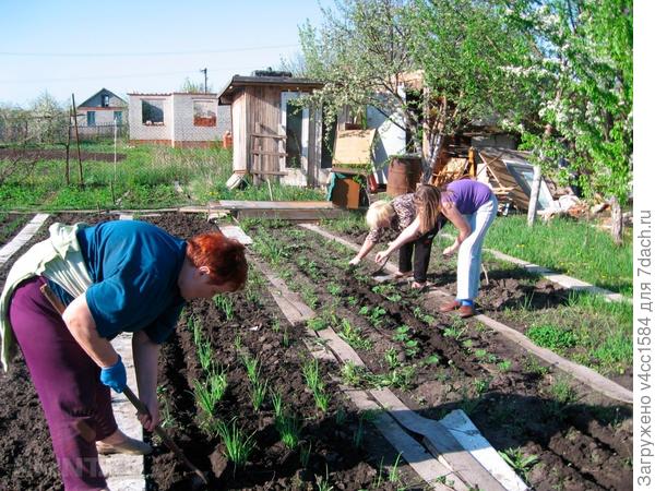 а это вблизи...