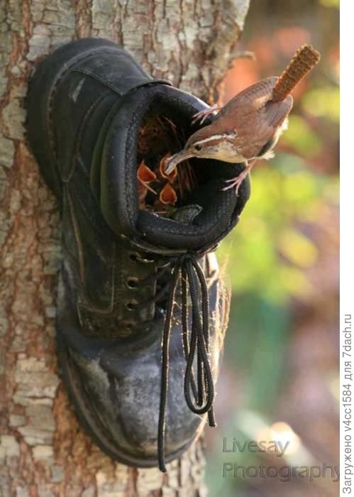 Орегинально, надо попробовать " построить такой домик..