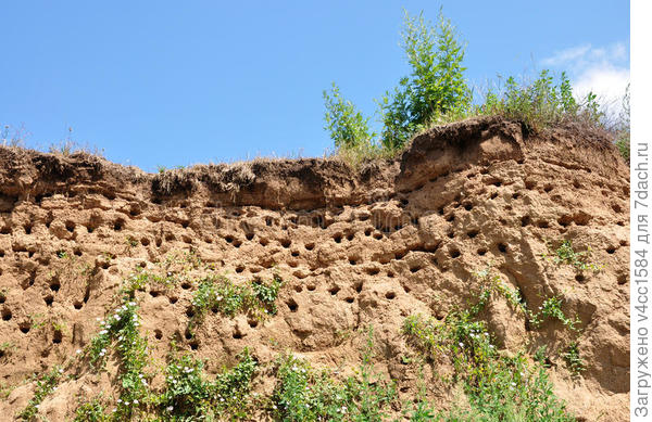 где то так бывает