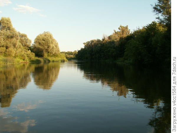 Красивый вид на природу