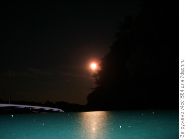 Фото-загадка, что вы тут видите?