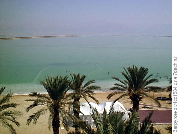 Я в Иорданию &amp;quot;пешком&amp;quot; по Мертвому морю ходил...