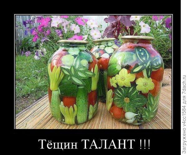 С чем и как можно мариновать помидоры? ответы экспертов () С чем и как можно мариновать помидоры? ответы экспертов