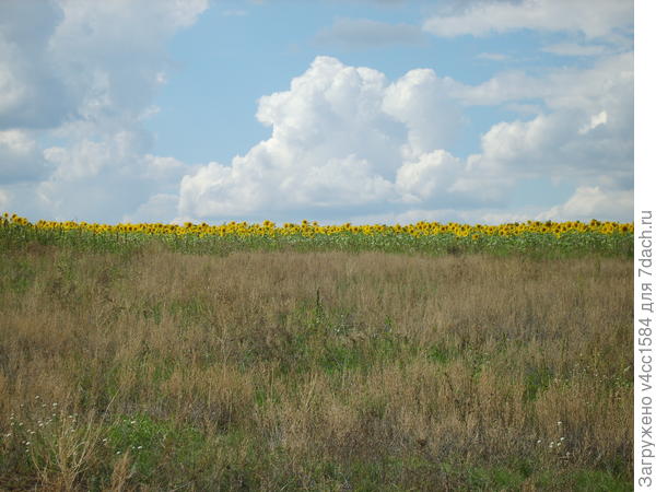 Вот такими....