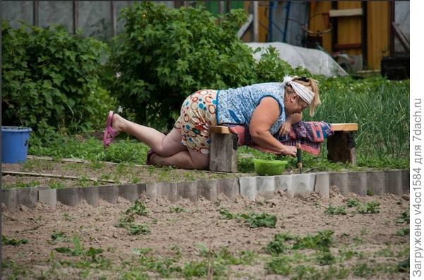 обратите внимание на &amp;quot;вечную&amp;quot; скамейку...