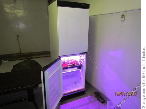 Вот такими....