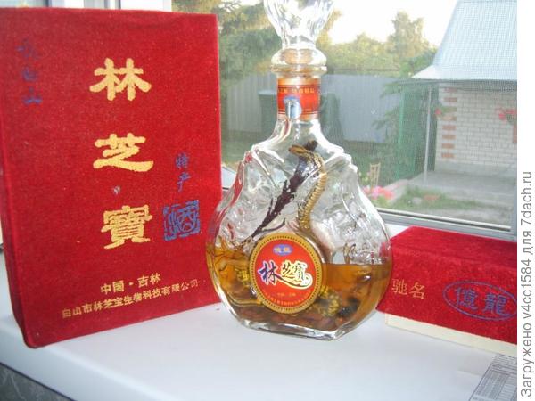 Вот такой крепкий напиток со змеёй