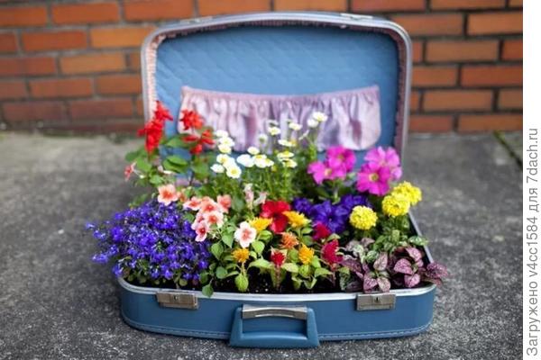 и цветы в тебя посадим...