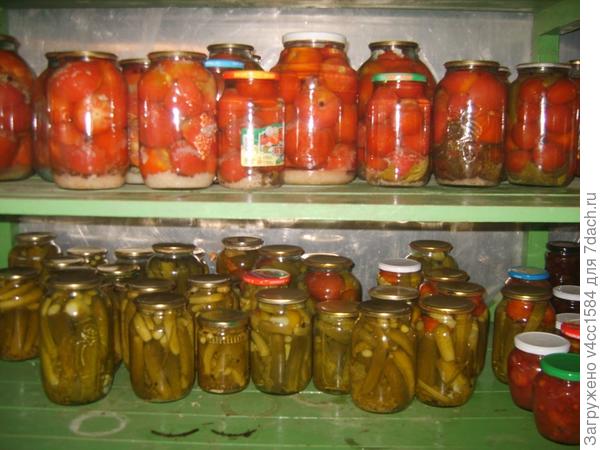 Все стараются набрать для засолки и консервации более мелкие огуречики...