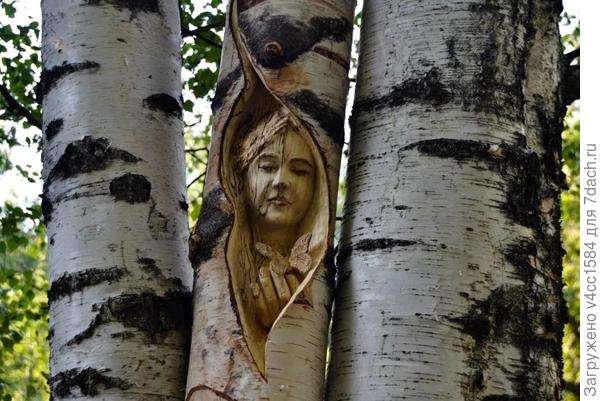 Очередной творческий человек...