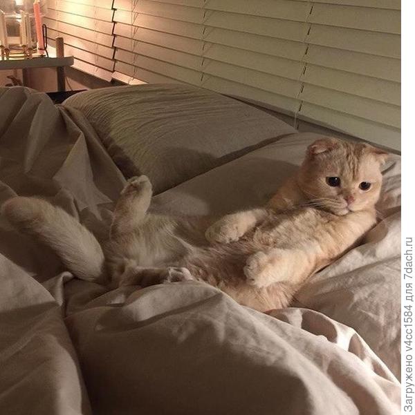 О чем это вы там?