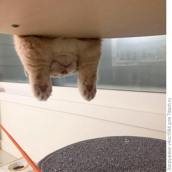 Пока у него зимняя спячка...