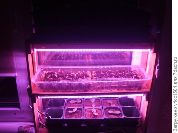 или такая...можно сразу обе включать..