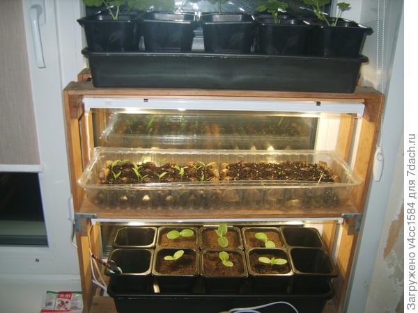 Подсветка такая ...