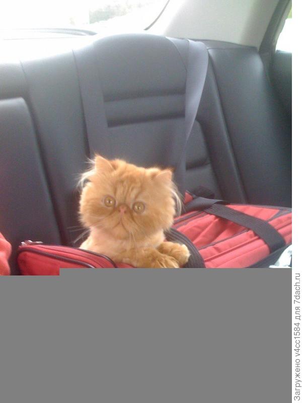 Начинают прибывать гости...