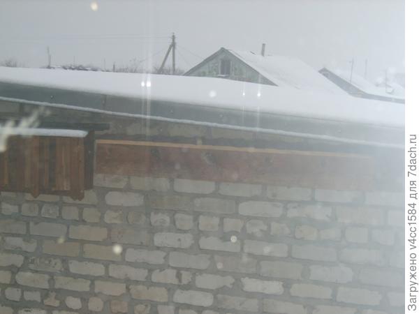 два сидят, только вылезли из домика. Адаптируются.