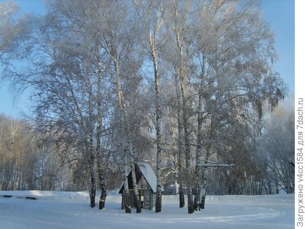 Просто зимний пейзаж