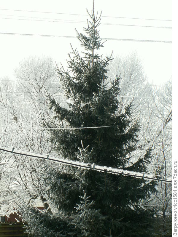 Зимние зарисовки