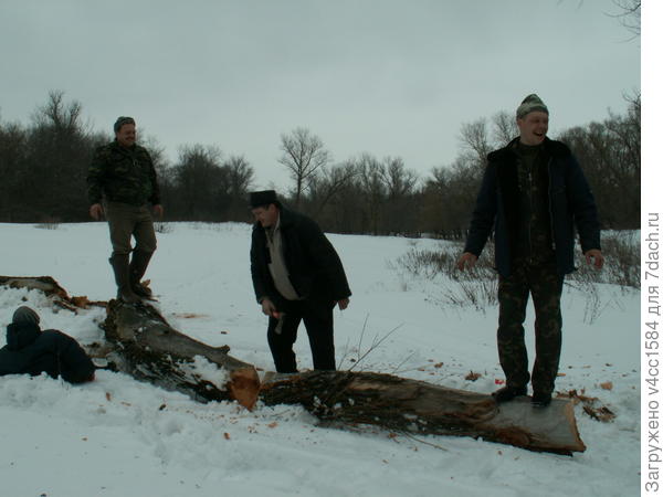 Пока мужчины заготавливают дрова...