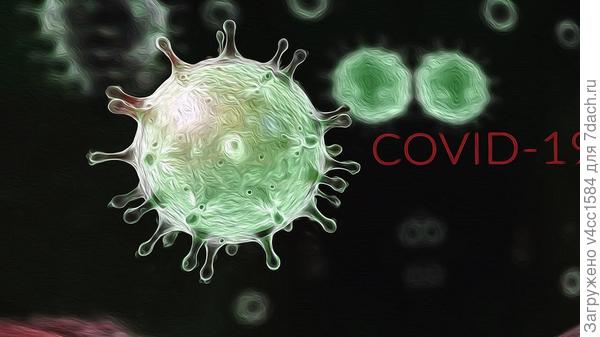 Знакомы гибрид, сам занимается селекцией...