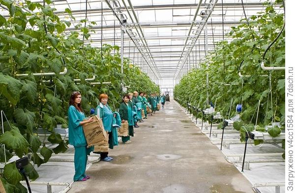 И на этих &quot;дачников&quot;...