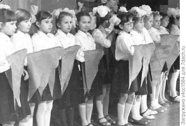 Будущие дачницы...