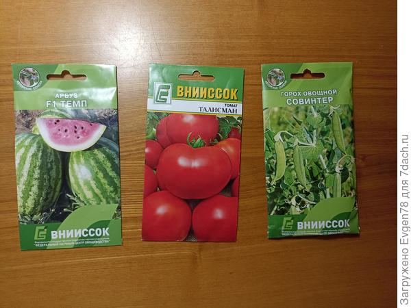 Семена ВНИИССОК