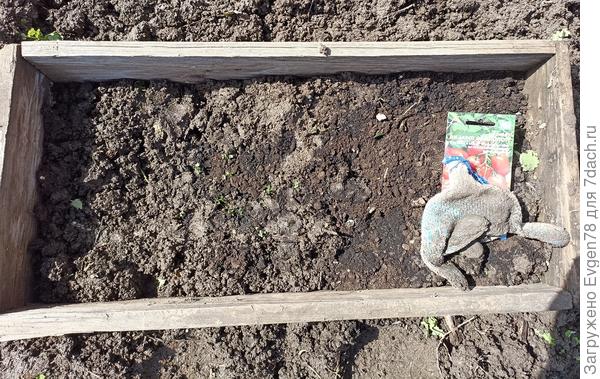 Микропарник