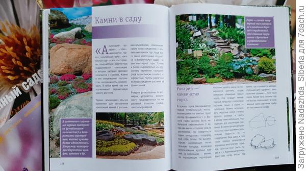 - Начнем с каменистой горки