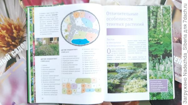 Изучаем образей цветника в ландшафтном стиле (...) И переходим к следующей главе