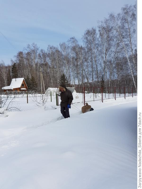 ронп