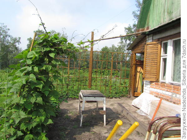 Построена пергола...