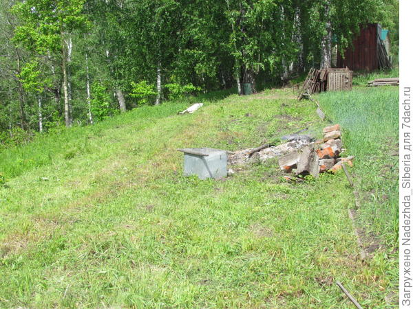 паи