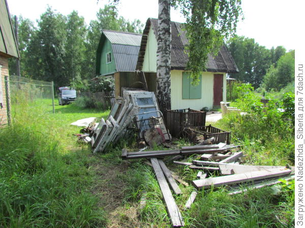 сари