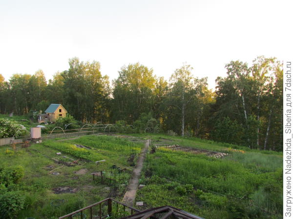 Правая часть "триптиха" (июнь-2015)