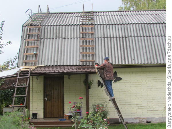 рот
