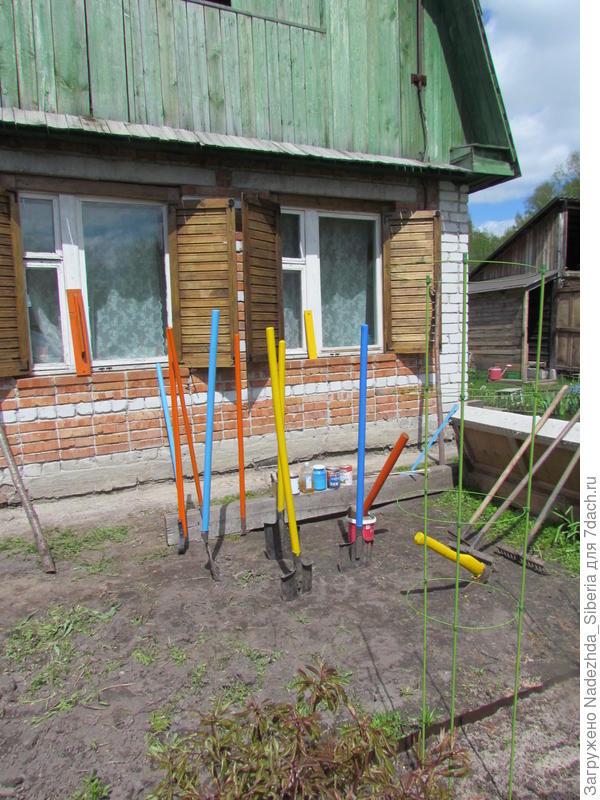 - уже в свой 2-й сезон (2013) мы покрасили ВСЕ черенки